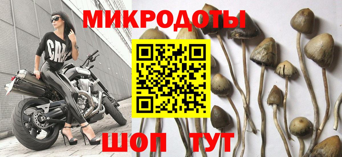 Галлюциногенные грибы мухоморы Кумертау